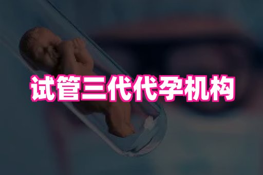 swisee孕网 3
